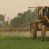 Agricultural Applications for Video Surveillance and Monitoring Systems :- back up camera.